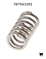 AGCO 7079431M1 Пружина