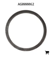 AGCO AG000062 Кольцо