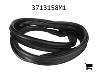 AGCO 3713158M1 Уплотнитель люка крыши