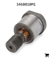 AGCO 3468010M1 Ось