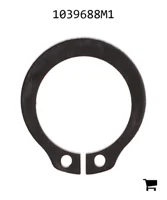 AGCO 1039688M1 Кольцо