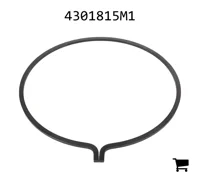 AGCO 4301815M1 Кольцо