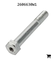 AGCO 2606630W1 Болт