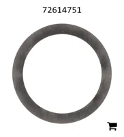 AGCO 72614751 Шайба
