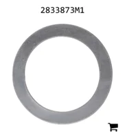 AGCO 2833873M1 Шайба