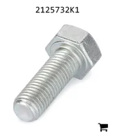 AGCO 2125732K1 Винт