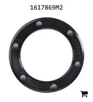 AGCO 1617869M2 Прокладка