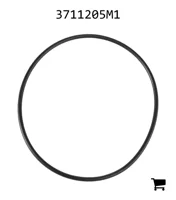 AGCO 3711205M1 Уплотнительное кольцо