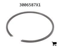 AGCO 3006587X1 Стопорное кольцо
