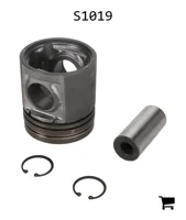 AGCO S1019 Поршень