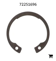 AGCO 72251696 Стопорное кольцо