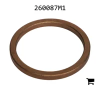 AGCO 260087M1 Втулка