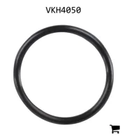 AGCO VKH4050 Уплотнительное кольцо