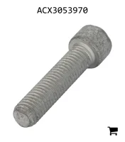AGCO ACX3053970 Винт с головкой Torx