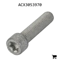 AGCO ACX3053970 Винт с головкой Torx