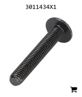 AGCO 3011434X1 Винт с цилиндрической головкой