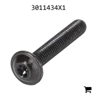 AGCO 3011434X1 Винт с цилиндрической головкой