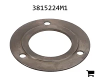 AGCO 3815224M1 Упорная шайба