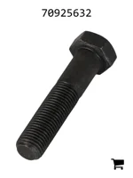 AGCO 70925632 Винт с шестигранной головкой