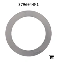 AGCO 3796044M1 Шайба