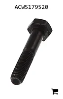 AGCO ACW5179520 Болт с шестигранной головкой