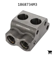 AGCO 1868734M3 Камера