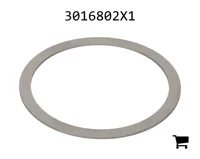 AGCO 3016802X1 Регулировочная шайба