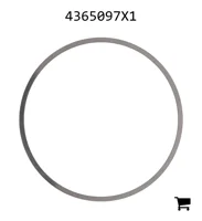 AGCO 4365097X1 Регулировочная шайба