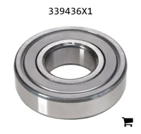 AGCO 339436X1 Подшипник 6307