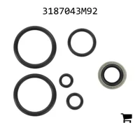 AGCO 3187043M92 Комплект