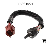 AGCO 116031W91 Модуль