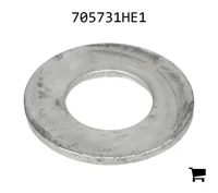 AGCO 705731HE1 Шайба