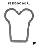 AGCO F385200210171 Прокладка головки цилиндра