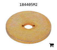 AGCO 184405M2 Шайба