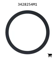 AGCO 3428254M1 Шайба