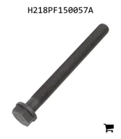 AGCO H218PF150057A Винт с шестигранной головкой