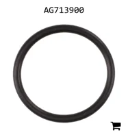 AGCO AG713900 Уплотнительное кольцо