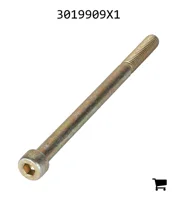 AGCO 3019909X1 Винт с цилиндрической головкой и шестигранным углублением