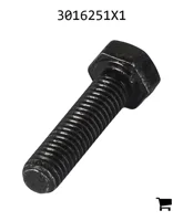 AGCO 3016251X1 Болт с шестигранной головкой