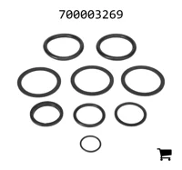 AGCO 700003269 Ремкомплект