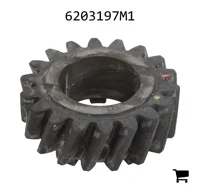 AGCO 6203197M1 Шестерня