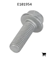 AGCO E101954 Болт