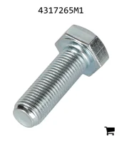 AGCO 4317265M1 Винт