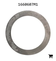 AGCO 1660607M1 Шайба
