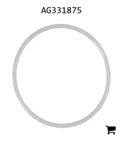 AGCO AG331875 Уплотнительное кольцо