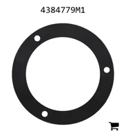 AGCO 4384779M1 Прокладка