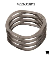 AGCO 4226318M1 Пружина