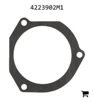 AGCO 4223902M1 Шарнир