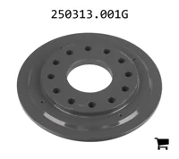 AGCO 250313.001G Кольцо