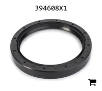AGCO 394608X1 Радиальное уплотнительное кольцо задней оси